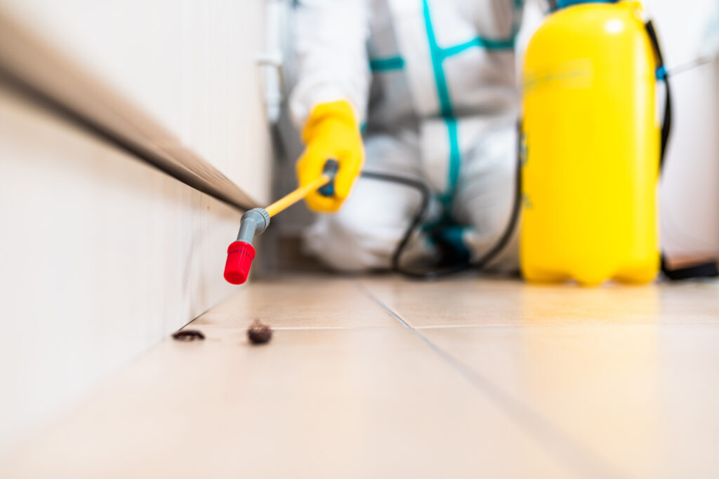 Newark Cockroach Experts
